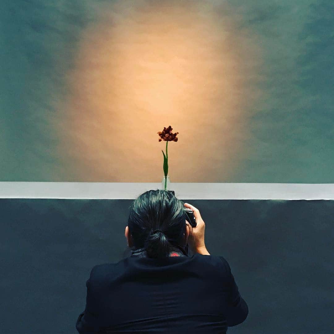 ムラカミカイエのインスタグラム：「#satoshisaikusa #flower」