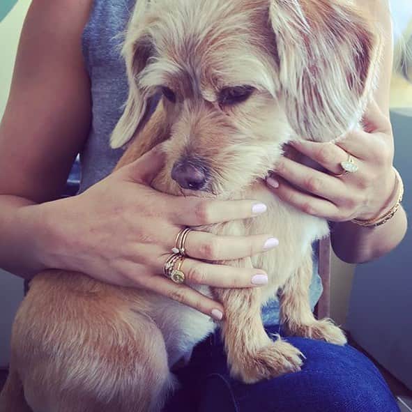 レンのインスタグラム：「Biscuit, in-demand dog model, appears alongside Wren stackable moonstone ring. Get yours at @theiconery - link in bio 🌙 💍.」