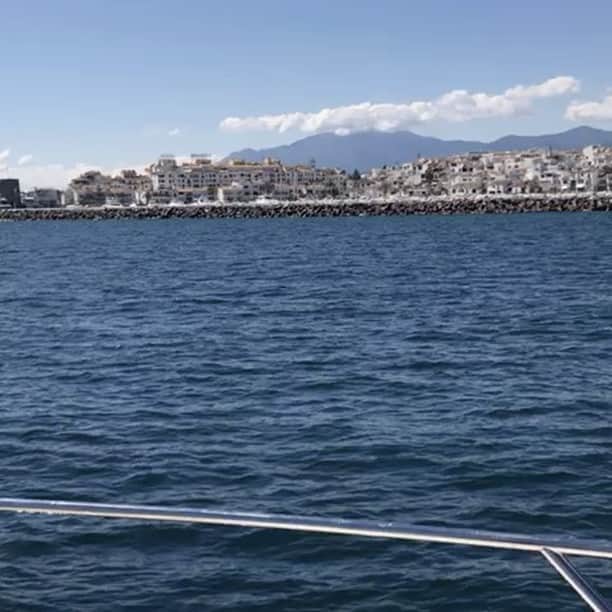 パトリック・バンフォードのインスタグラム：「🐬🐬🐬☀️☀️☀️☀️」