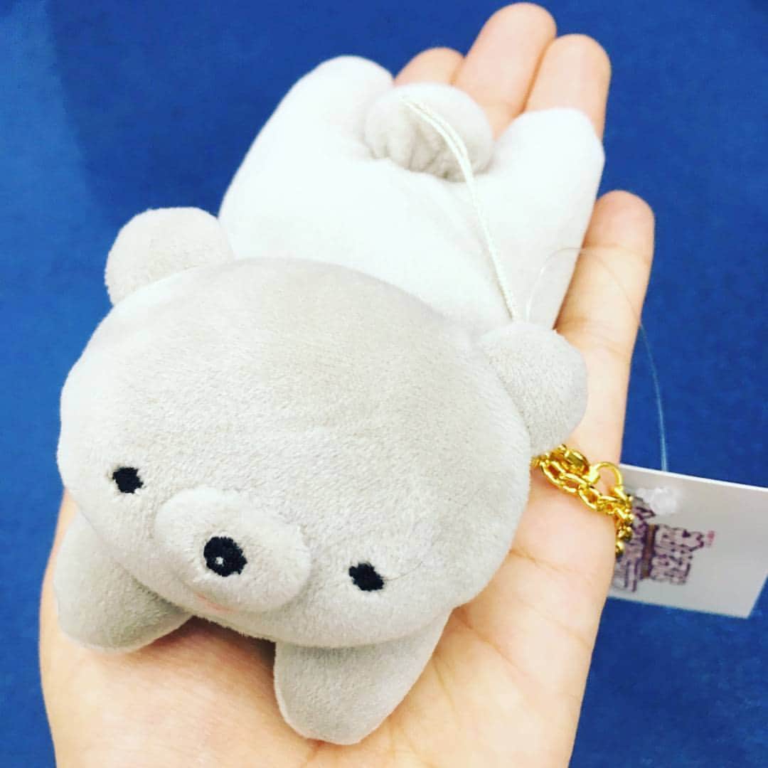 逃げるは恥だが役に立つのインスタグラム：「いよいよ明後日発売❗逃げ恥DVD&ブルーレイのishop限定特典のみくりくま🐻が完成しました❗手のりサイズ✨かわいいです❗  #逃げ恥 #みくりくま #もちくま #3月29日発売 #お待たせしました #只今TBS前には逃げ恥パネルも設置中 #逃げ恥ロス #春休みに一気観 #そして」