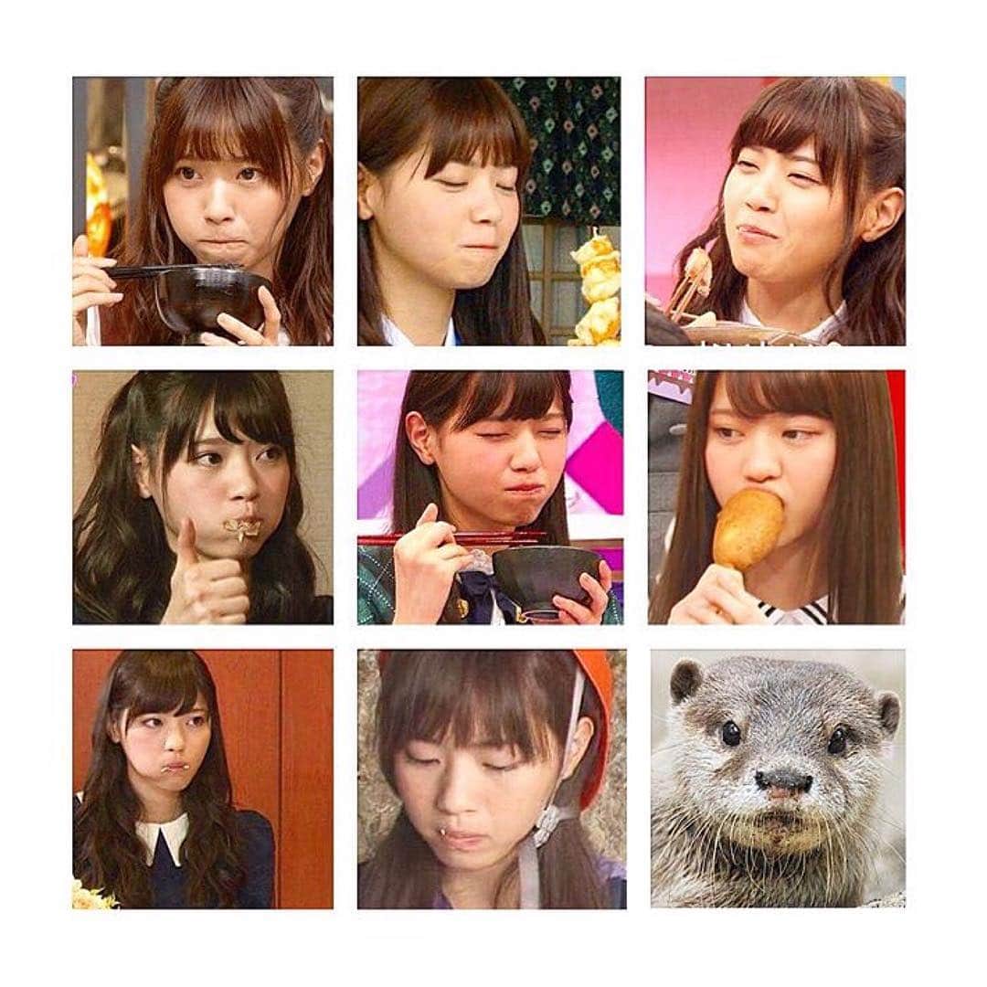 乃木坂46 のぎのぎのインスタグラム：「⊿⊿⊿ 今日のお昼休みは質問タイム🌟 . "朝ごはん"に食べるならどっちですか？ もしくは食べたことあるのはどっちですか？ ①カレー ②うどん(かけ) . ある方と討論になり、 皆さんの意見を求めたい次第です😎笑 . お昼しっかり食べて午後からも 頑張って行きましょう✊🏻 食べてるなぁちゃんの可愛さ😭 #乃木坂46#nogizaka46#かわうそまる #西野七瀬#なぁちゃん#ななせまる#カワウソ #アイドル#モデル#可愛い#笑顔#女優 #idol#model#kawaii#cute#girl#smile #japan#japanese#japanesegirl #20170328」