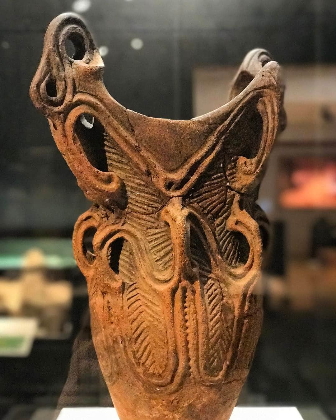 井浦新のグルメインスタ