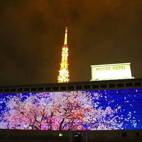 東京プリンスホテル / Tokyo Prince Hotelのインスタグラム：「いよいよ明日3/30、東京プリンスホテルオープニングイベントを開催します！ホテル壁面に映し出される大迫力のプロジェクションマッピングをお楽しみください。  18:00 開場 18:30 セレモニー&プロジェクションマッピング  #東京プリンスホテル #リニューアルオープン #プロジェクションマッピング#4月1日オープン #東京タワー#プリンスホテル  #reborn_tph  #tokyoprincehotel #princehotel #tokyotower」