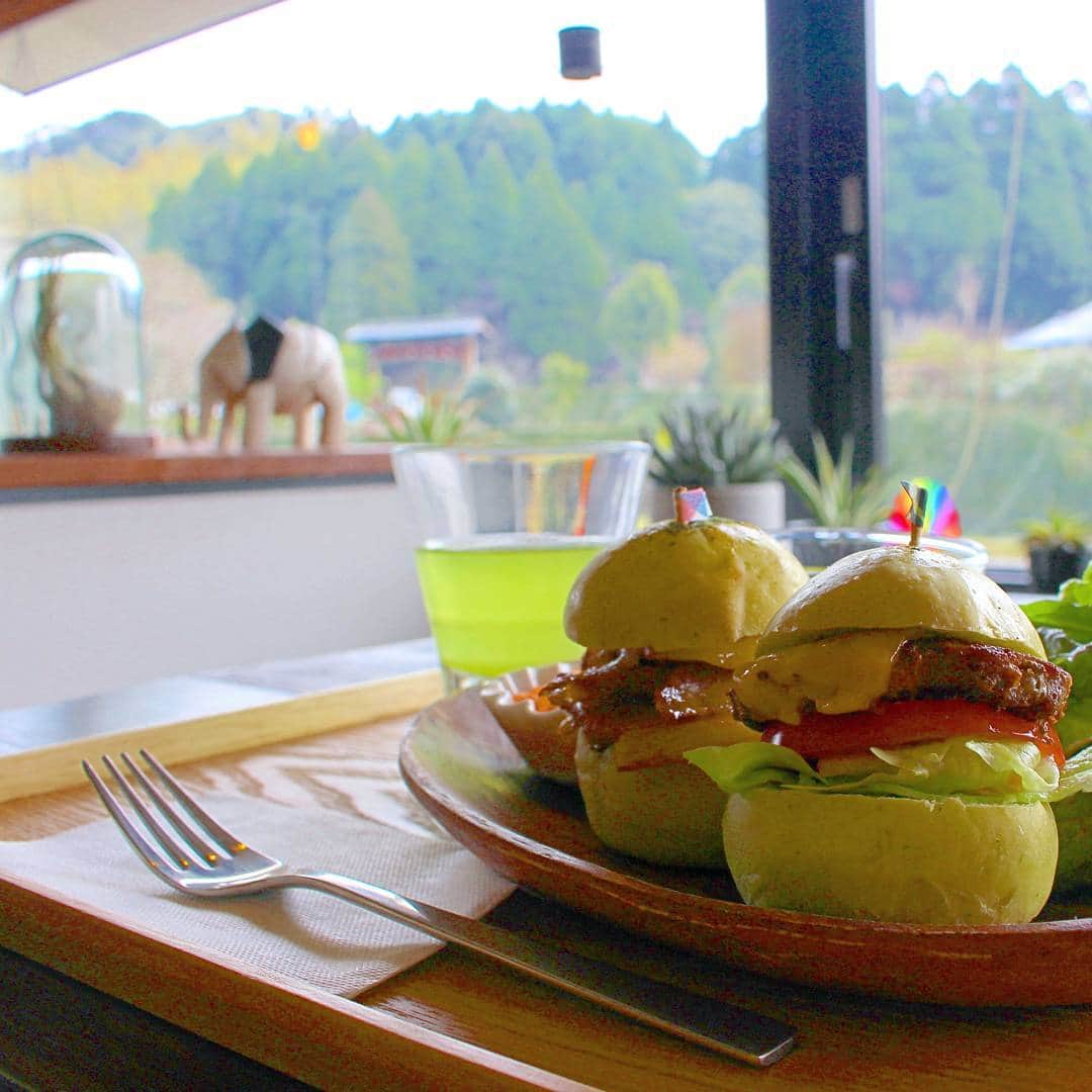 鹿児島よかもん再発見のグルメインスタ