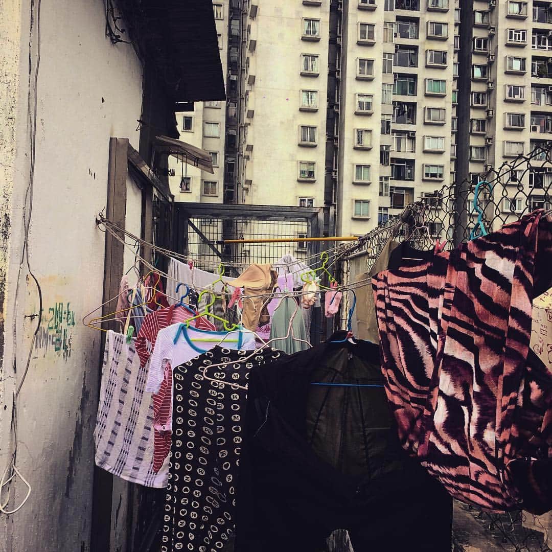 洗濯物 盗撮 ミラクルひかるさんのインスタグラム写真 - (ミラクルひかるInstagram)「#香港🇭🇰 なんせ！洗濯物！洗濯物！洗濯物！（盗撮）  #香港artbasel #artbasel 2017 #chimpom #ミラクルひかる」3月29日 21時02分 -  miracle_hikaru_official