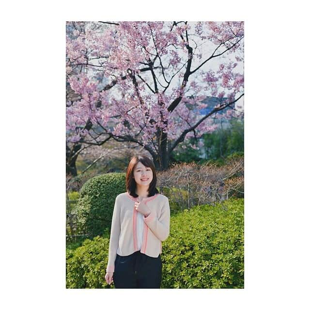 林美沙希さんのインスタグラム写真 - (林美沙希Instagram)「満開になった毛利庭園の陽光桜の前で写真を撮ってもらいました！この時期は外のベンチに座る人が増えますね〜。 #テレ朝#jチャンネル#林#桜#毛利庭園#キャノンクリエーション」3月30日 14時26分 - misaki0hayashi