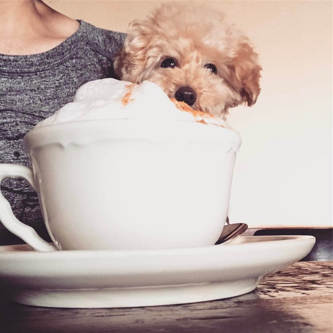 Maruのグルメインスタ