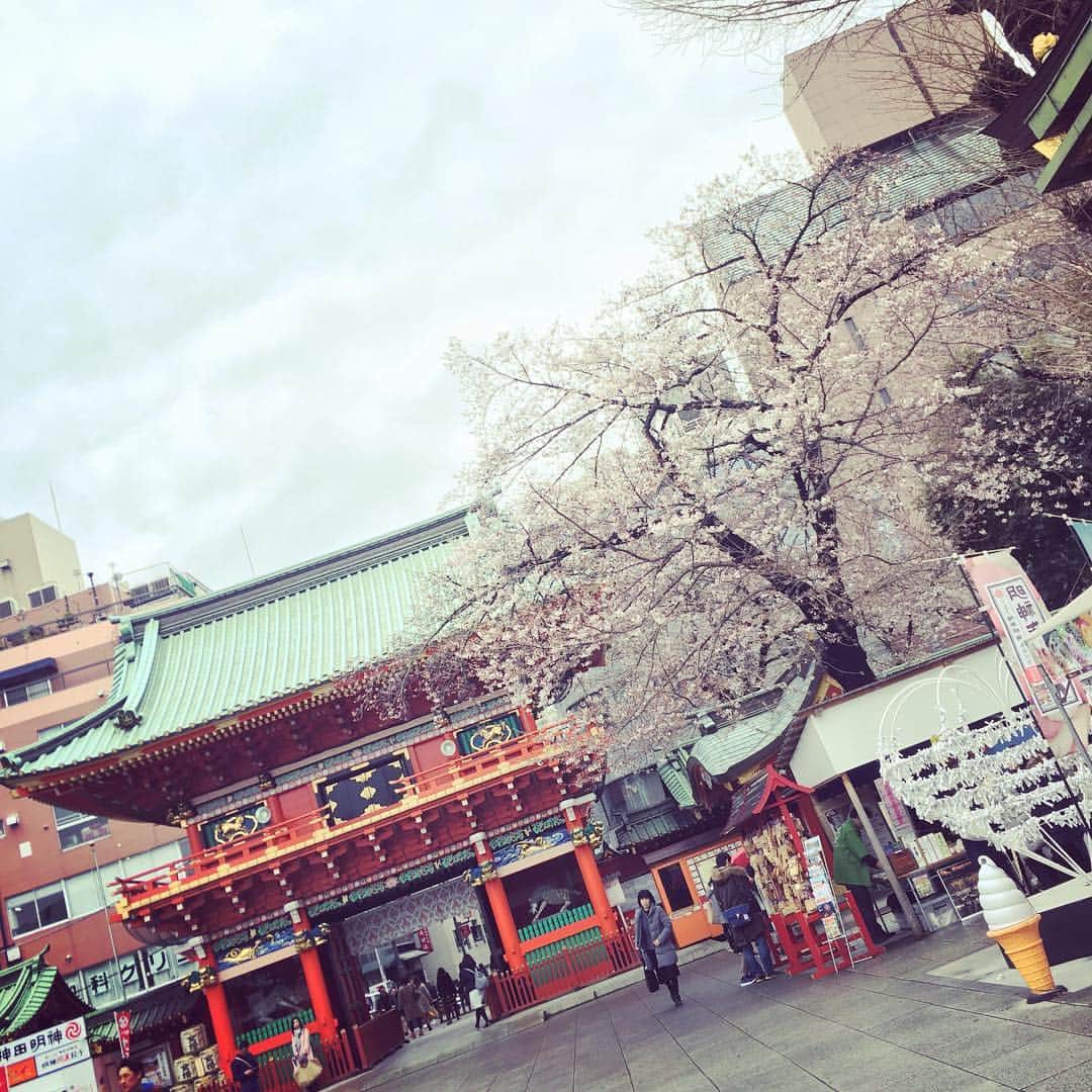 笛木優子のインスタグラム：「キャー寒い😵❄️ 桜もビックリですね😅 もう四月。。。 今日はなぜか神田明神に行かなきゃと思い笑 お天気は良くありませんでしたが、お参りに行って来ました🌂  清々しい気持ちになれました。 新入社員のみなさん、頑張ってください🤗 みなさんの健闘を祈って。。。🙏🏻」