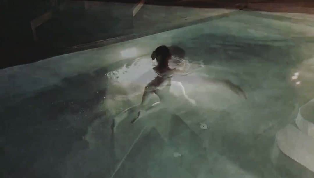 スイ・ヒーのインスタグラム：「🐬」