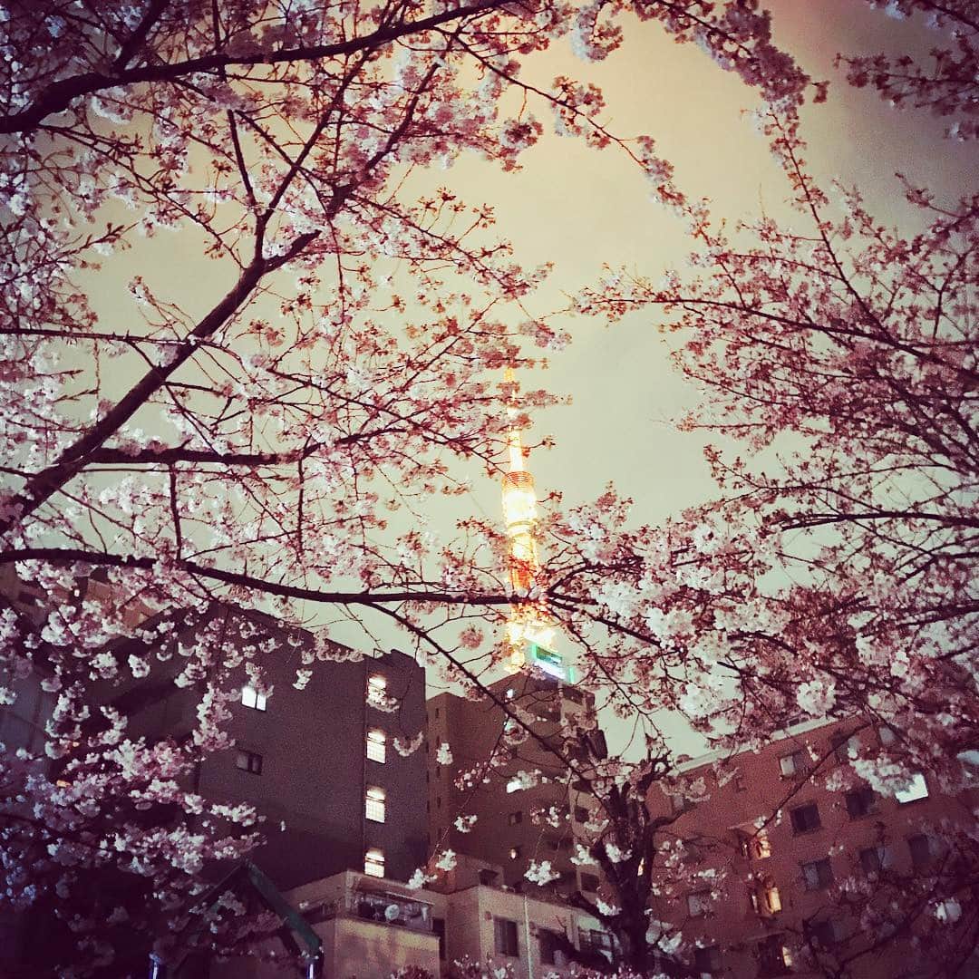 久保裕丈さんのインスタグラム写真 - (久保裕丈Instagram)「#夜桜 #東京タワー 今日は寒すぎて花見をしてる人は少ないですかねー」4月1日 19時48分 - hirotakekubo