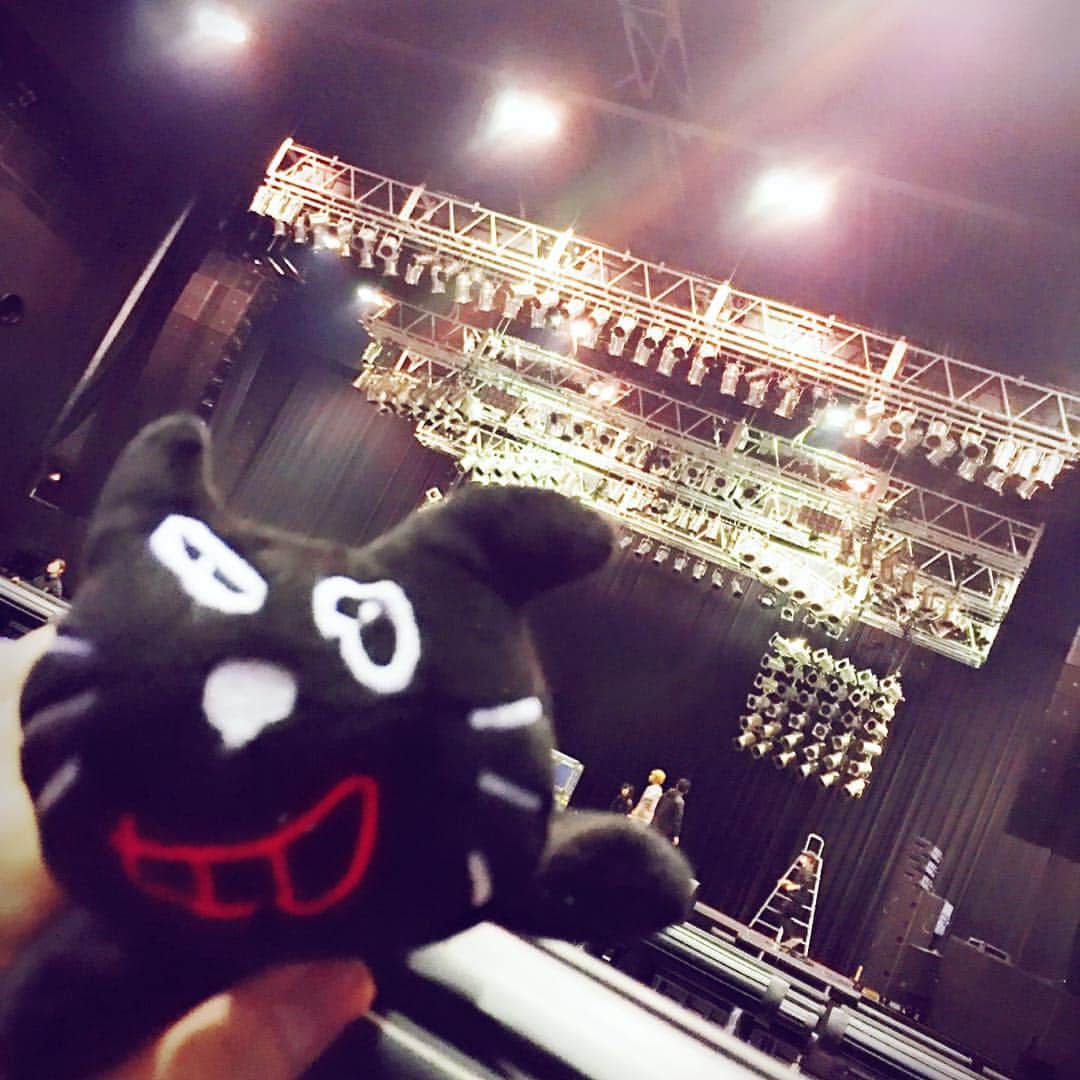 キヨのインスタグラム：「わくバンのライブ観た。この猫に誰よりも夢中になってる。」