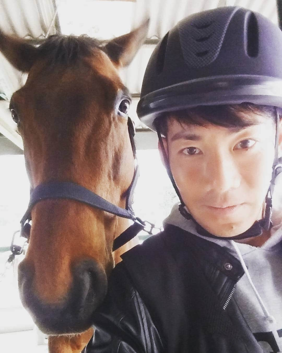 村内孝志のインスタグラム：「似てるな。  #乗馬 #馬場 #障害競技」