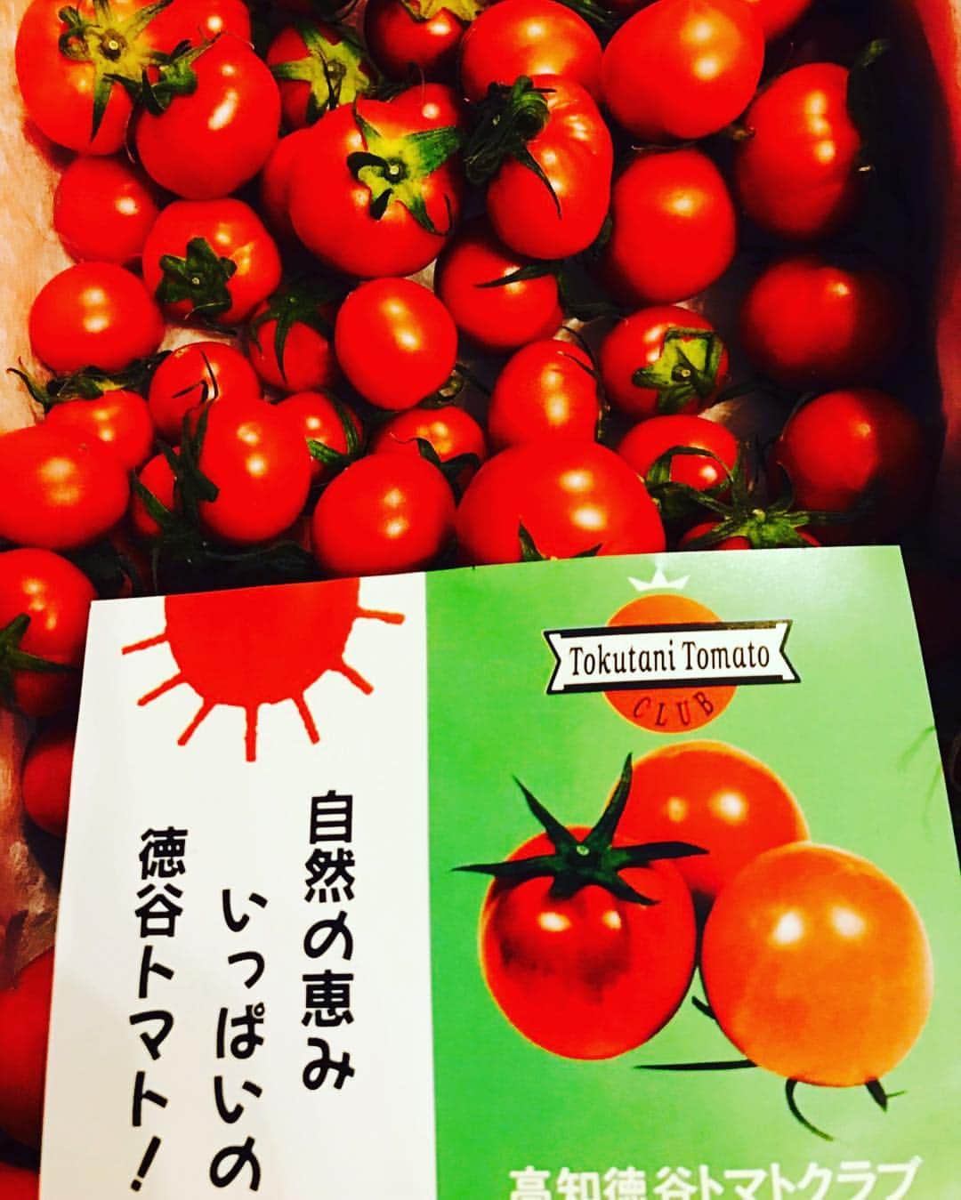 藤原虹気のインスタグラム：「このトマト神!! #フルーツトマト #徳谷トマト #日本一 #もう甘すぎて甘すぎて」