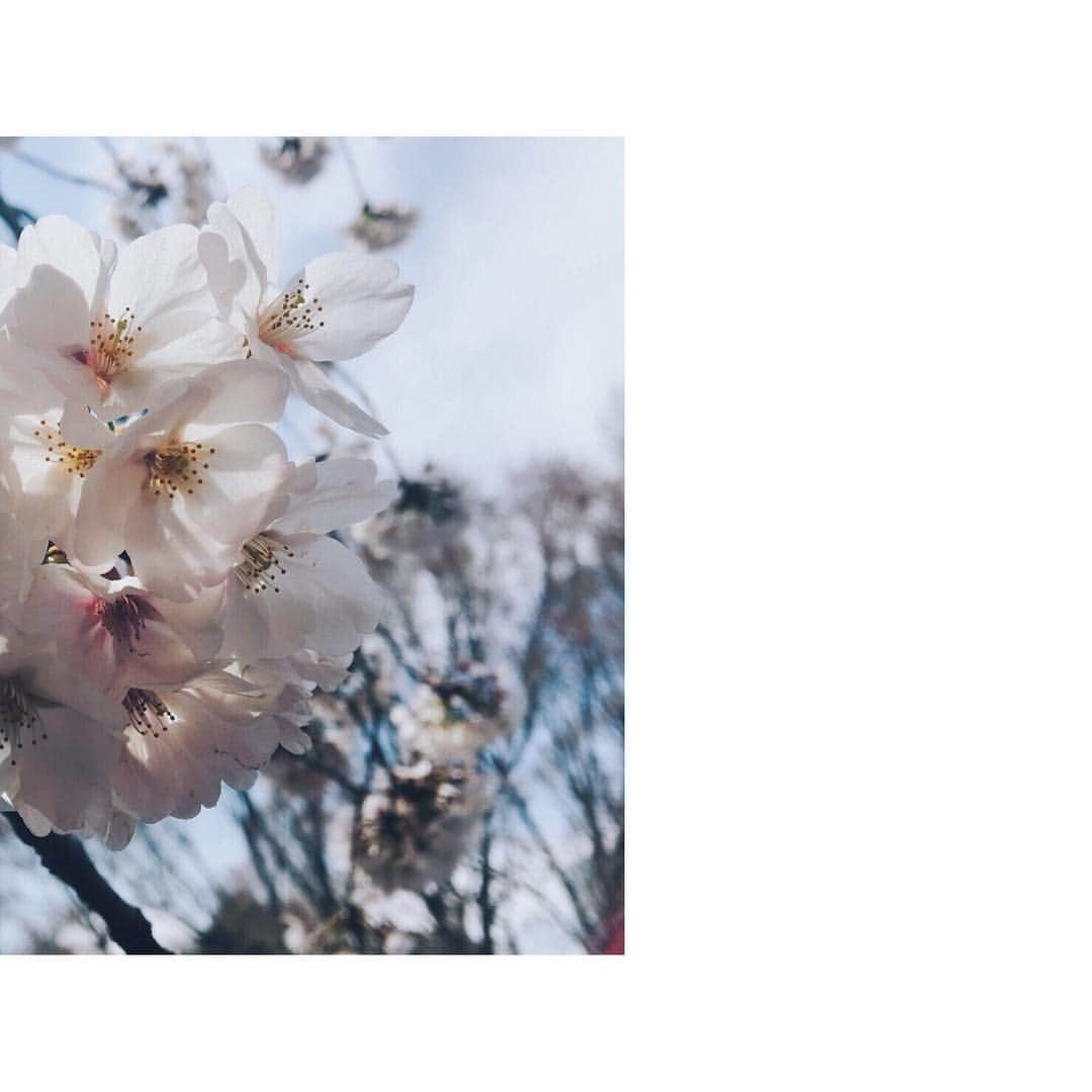 玉城ティナさんのインスタグラム写真 - (玉城ティナInstagram)「お知らせ、春の」4月2日 23時30分 - tinapouty