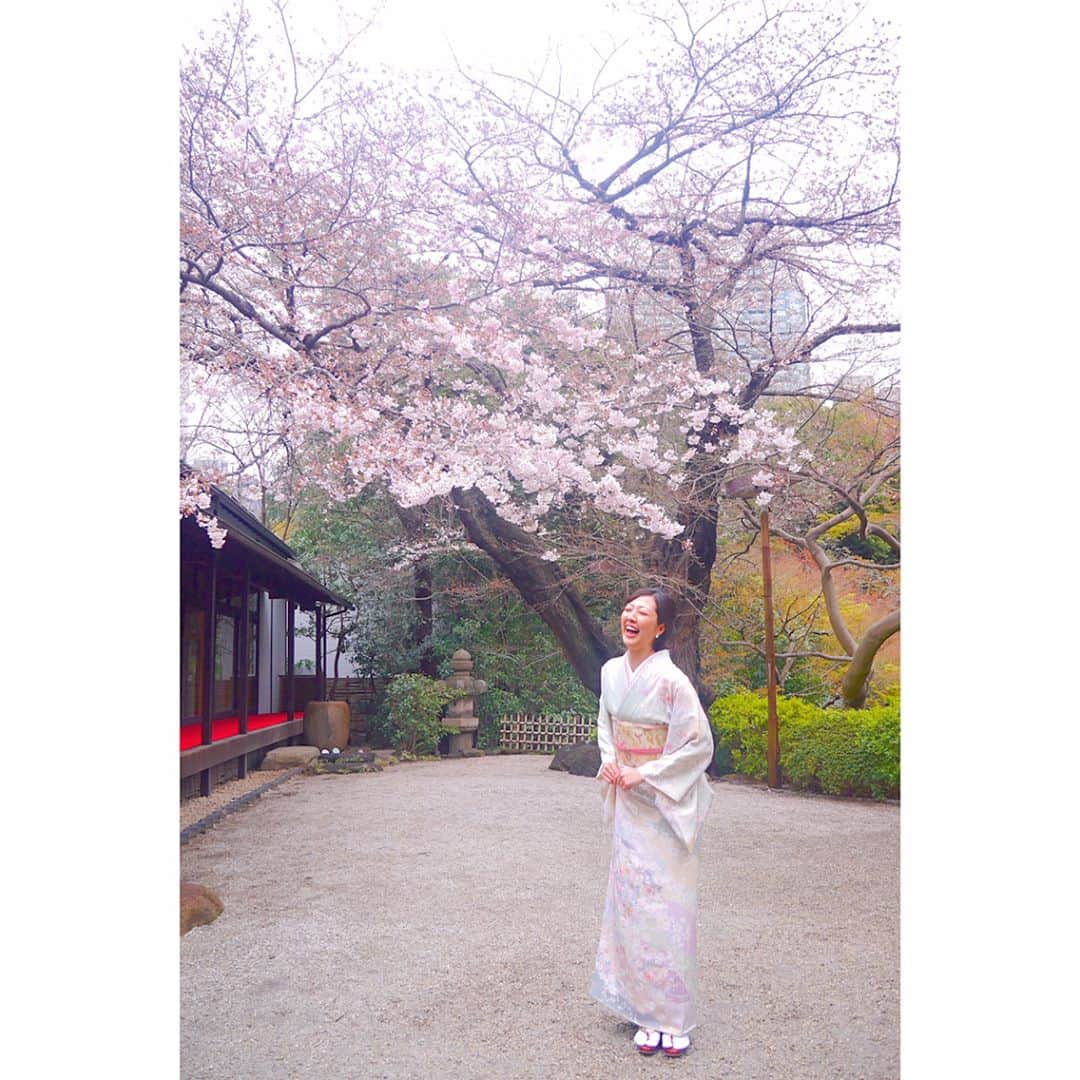 高橋有紀子さんのインスタグラム写真 - (高橋有紀子Instagram)「・ 娘は一日パパとお留守番してくれたので 久しぶりに着物が着られました💕 ・ 桜も咲いていて、 まさに日本人の美しい結婚式だったな🌸🇯🇵 ・ それなのに私ってば、 もっとお淑やかな笑い方ができないものかしら🤔💦 ・ ・ #happywedding #bff #kimono #japanesestyle #cherryblossom  #結婚おめでとう #親友 #桜 #春 #着物 #初めての訪問着 #八芳園 #大口開けて笑う #ダメだこりゃ」4月3日 23時09分 - yukko816