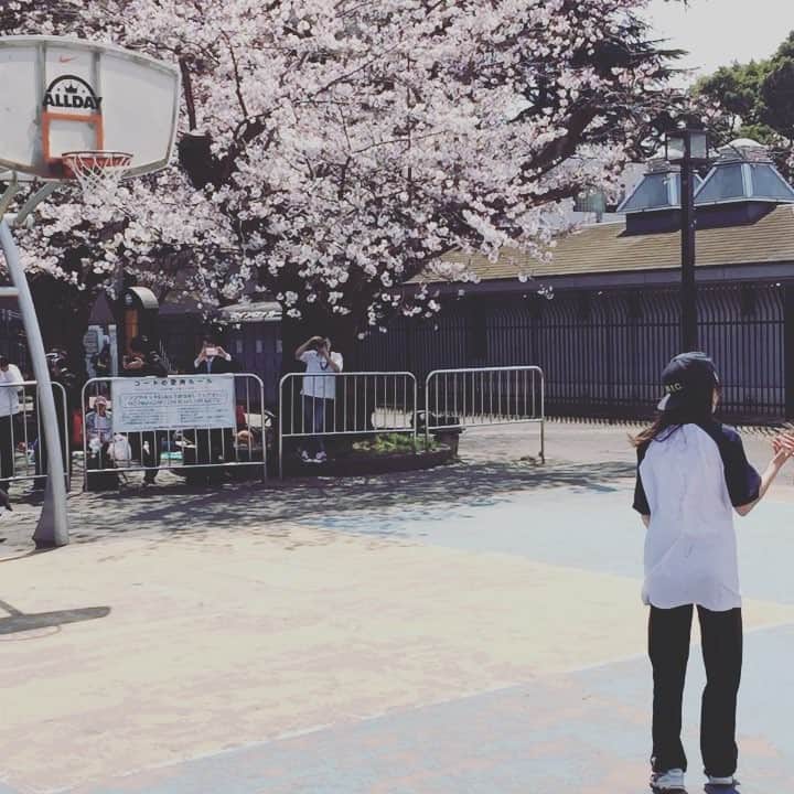 ぷちぱすぽ☆のインスタグラム：「『10回連続シュート決めるまで帰れまテン！』 #ぷちぱ部活なう #ぷちぱすぽ #ぷちぱ #バスケ」