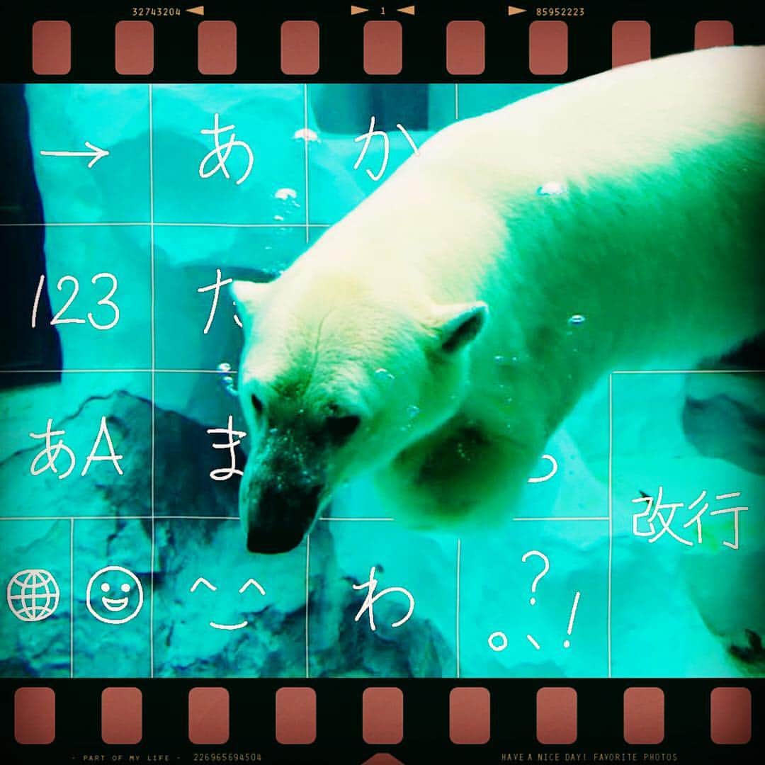 Simejiのインスタグラム