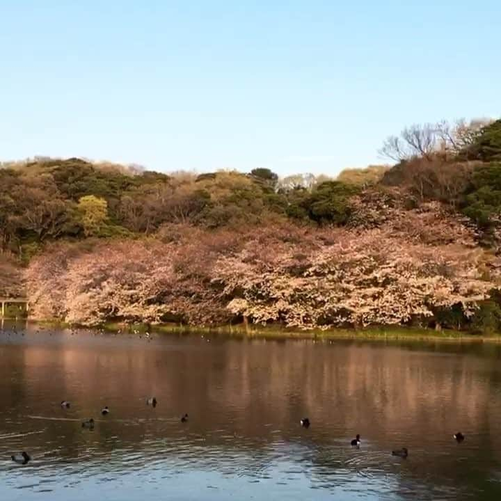 福田典子のインスタグラム