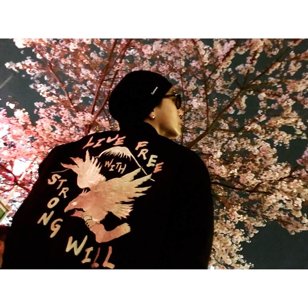 岩田剛典さんのインスタグラム写真 - (岩田剛典Instagram)「🌸🌸🌸」4月5日 19時41分 - takanori_iwata_official