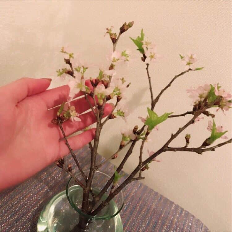 水沢エレナさんのインスタグラム写真 - (水沢エレナInstagram)「我が家の桜も咲きました」4月5日 19時48分 - erena_mizusawa_official