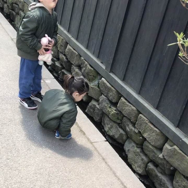 田口成浩のインスタグラム