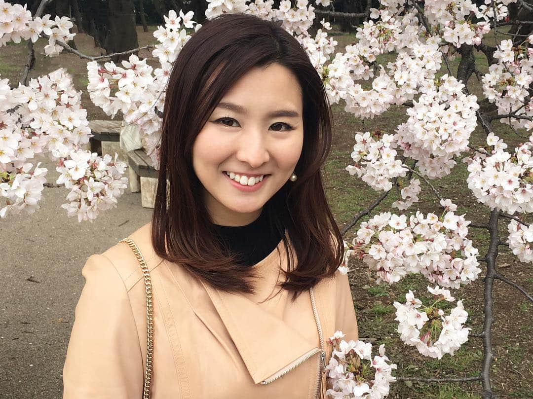 森本麻衣のインスタグラム：「🌸✨🌸 cherry blossoms😍 . 新宿御苑では、手の届く下の方まで桜の枝が伸びてきてくれてる💕 日本の春の風景🌸素敵😌 . . . . #amazing #cherryblossom#cherryblossoms#shinjukugyoen#sakura#beautiful#instalike#beautifuljapan#instajapan#flower#welcometojapan#instagood#shinjuku#pink #春#桜#新宿御苑#日本#東京#森本麻衣#ピアニスト#花#美しい#自然#毎年#感動#かわいい#ピンク」