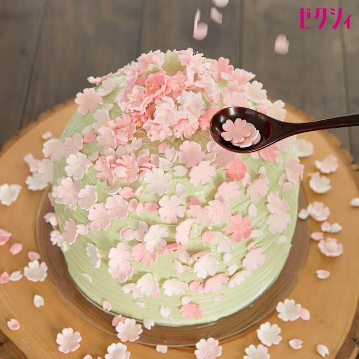 ゼクシィさんのインスタグラム写真 - (ゼクシィInstagram)「春挙式に人気の#桜 のウェディングケーキ！ ・ お山に見たてた抹茶クリームの上にふたりで満開の桜を咲かせよう！ ・ ----------------- ケーキアイデアをもっと見たい…#ゼクシィアプリ から[a tale of cake]で検索 ----------------- ・ #ウェディング #結婚式 #wedding #結婚 #プレ花嫁 #花嫁 #卒花 #ウェディングケーキ #桜 #日本中のプレ花嫁さんと繋がりたい #ゼクシィ」4月6日 17時00分 - zexyrecruit