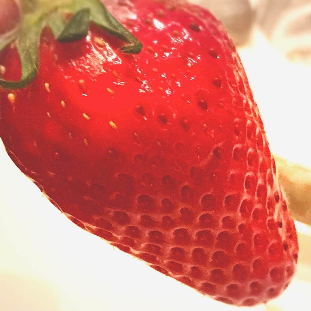 若村麻由美さんのインスタグラム写真 - (若村麻由美Instagram)「❣️甘っ❗️博士が作った名前の無い苺🍓ヒロシじやな〜い。ハカセ。 今日もフレッシュに行こう✨ . #博士 #苺 #いちご #イチゴ #strawberry」4月7日 5時42分 - mayumiwakamura_official