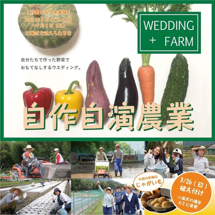 ウエコン神戸のインスタグラム：「先月26日に第1回目の植え付けを行った新演出「#WEDDING+FARM 」です。 年間を通して様々な作物を新郎新婦お二人の手で植え付け収穫をしていただき ゲストの方をおもてなしするお料理に使用したり、プチギフトとしてプレゼントしていただく 新しい「おもてなしのカタチ」です。 #ウエコン #ウエコン神戸 #デゼーロ #ルミエランジェ #アプロディールハート #ウエコン #ウエコン神戸 #神戸 #神戸結婚式 #結婚式 #ウエディング  #ウエディング演出 #演出 #結婚式演出 #自作自演農業 #ウエディングファーム  #WEDDINGFARM #農業 #ウェディングファーム」