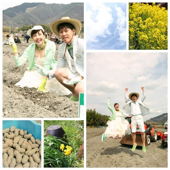 ウエコン神戸のインスタグラム：「WEDDING+FARM #ウエディングファーム で野菜を植え付けているところ…ゲストのかたへの感謝の気持ちが 野菜を美味しく育てる栄養になりますよ！収穫が楽しみ！！ #ウエコン #ウエコン神戸 #デゼーロ #ルミエランジェ #アプロディールハート #ウエコン #ウエコン神戸 #神戸 #神戸結婚式 #結婚式 #ウエディング  #ウエディング演出 #演出 #結婚式演出 #自作自演農業 #ウェディングファーム  #WEDDINGFARM #農業」