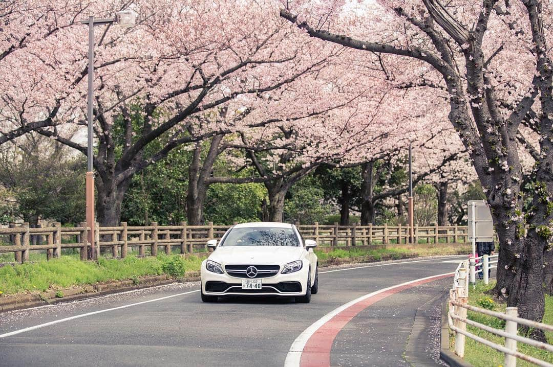 メルセデスベンツさんのインスタグラム写真 - (メルセデスベンツInstagram)「今週末が満開！🌸 少し寒くても、雨が降りそうでも、お花見ドライブなら満開の桜を満喫できます。 Happy Weekend!  #Cクラス #Cclass #C63 #cclasscoupe #桜 #お花見 #車 #ドライブ #drive #spring #cherryblossom #メルセデス #ベンツ #メルセデスベンツ #car #Mercedes #Benz #MercedesBenz #japan #mercedesbenzjapan  #🌸 #sakura」4月7日 21時24分 - mercedesbenzjapan