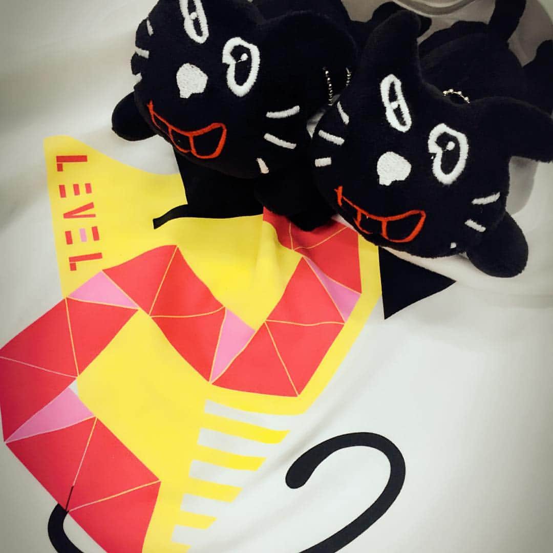 キヨのインスタグラム：「グッズ通販はじまったのでよろしくちゃんちゃんこ⇒⇒http://www.official-store.jp/kiyoreto/ #キヨ猫 #名付けたの誰だよ」