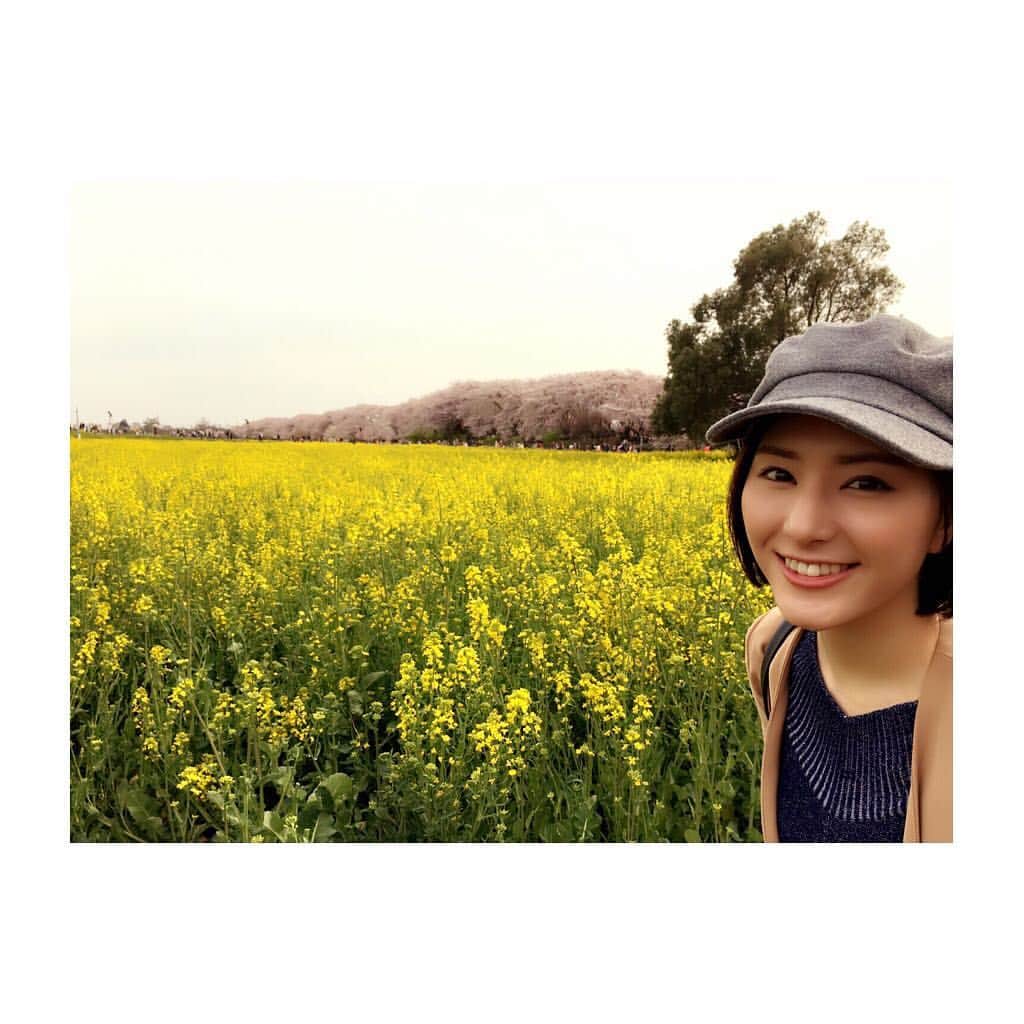 白井ゆかりさんのインスタグラム写真 - (白井ゆかりInstagram)「曇り空のなかでしたが、 毎年恒例、幸手権現堂桜堤にいってきました。 たくさんの観光客の方でにぎわっていました〜 私のすぐ横にはヤギさんもいっぱいいるんですよぉ〜 写真とればよかった。小学生に大人気！笑  今年も素敵な菜の花と桜をありがとう😊🌸 #桜 #菜の花 #お花見 #曇り #権現堂桜堤」4月8日 11時13分 - yukari_shirai625