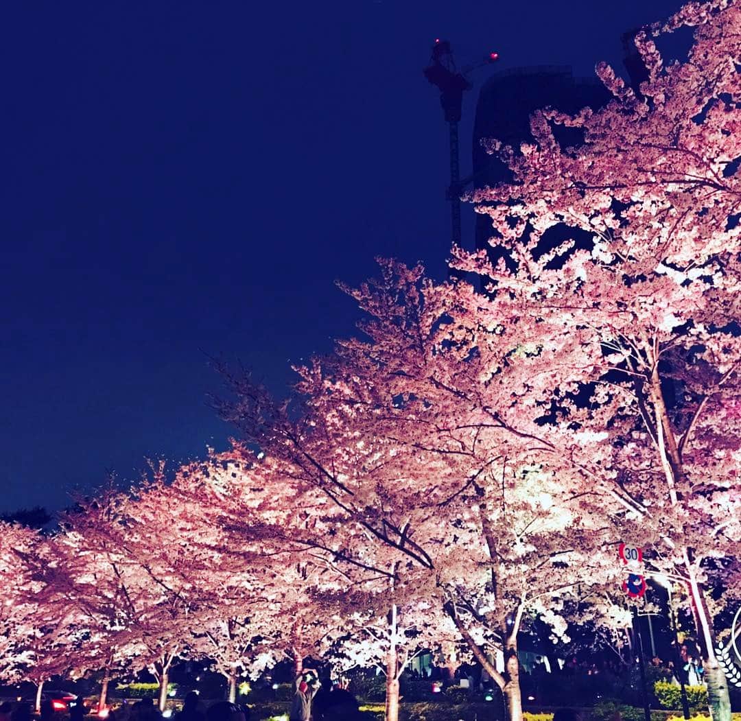 望月理恵さんのインスタグラム写真 - (望月理恵Instagram)「お花見🌸 ただ歩いてるだけですが 綺麗です」4月8日 19時05分 - mochiee28