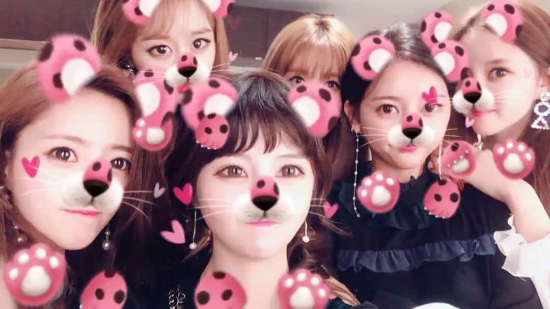 のインスタグラム：「🐾🐯🐾🐯🐾🐯🐾🐯🐾🐯🐾🐯」