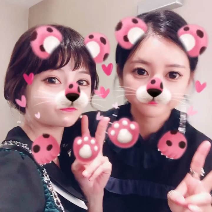 のインスタグラム：「🐯💕🐯」