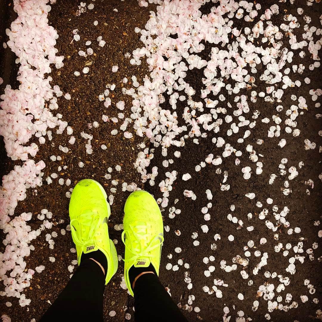 久冨慶子さんのインスタグラム写真 - (久冨慶子Instagram)「おはようございます！ 少し雨が降ってるけど走ってきました🏃‍♀️☔️ 素敵な日曜日を✨ #朝ラン #小雨ラン #お花見ラン ちょっと寝坊したから #7㎞ #テレビ朝日 #久冨慶子 #🌸 #👟」4月9日 9時35分 - keiko0hisatomi
