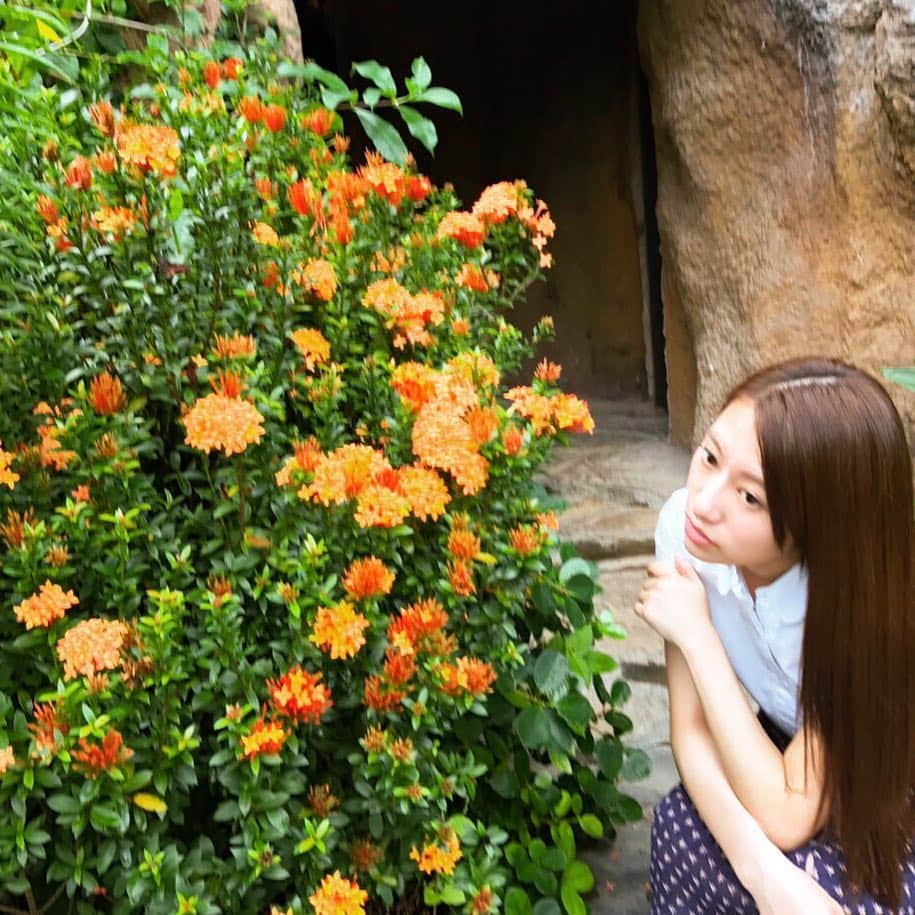 桜井玲香のインスタグラム：「バンジャラン ホットスプリングスの花と玲香さん。part 2」