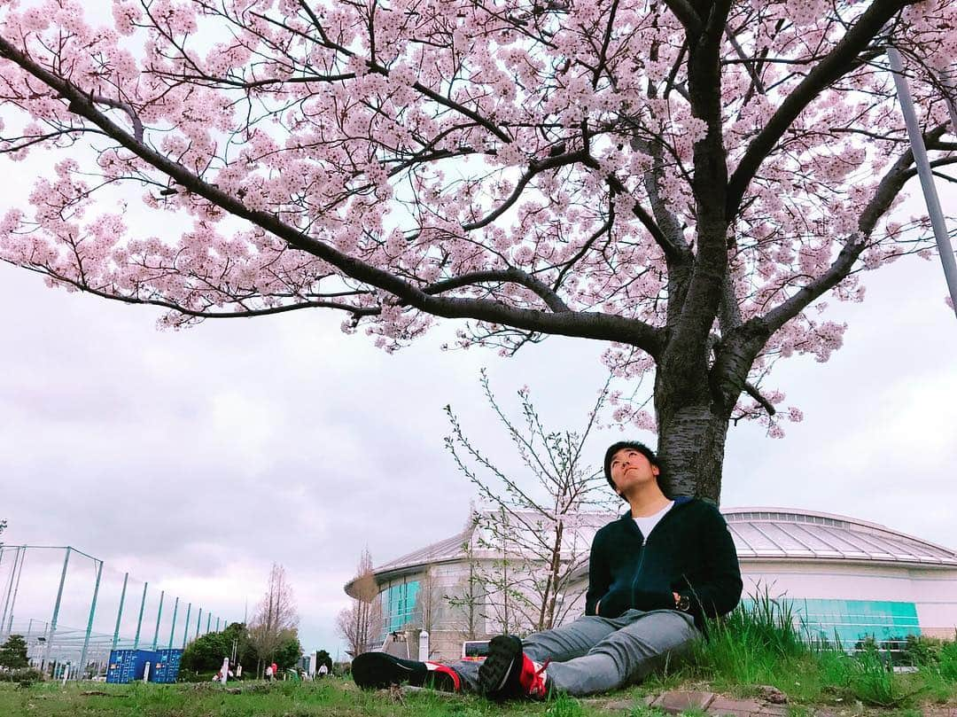 佐藤世那のインスタグラム：「撮影者・山崎颯一郎 #桜 #舞洲 #セレッソ大阪 #スペイン語 で桜 #5連勝 #一生懸命 #花見 #満開」