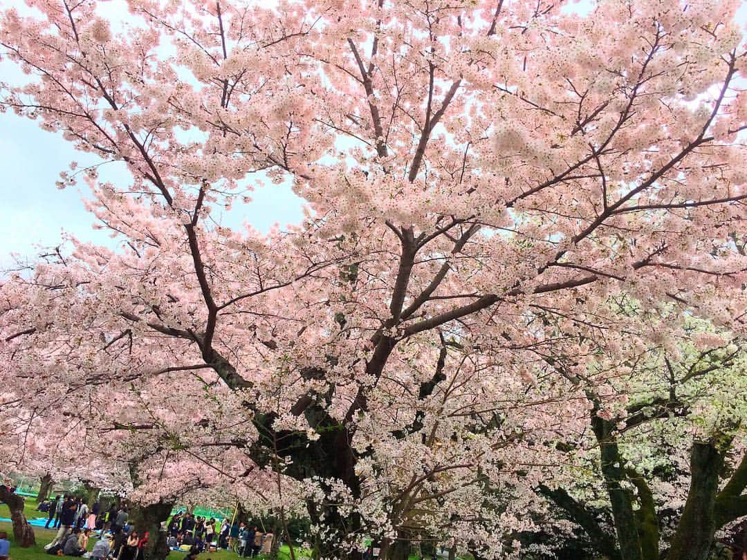 神咲 麻央 / まおちゃるさんのインスタグラム写真 - (神咲 麻央 / まおちゃるInstagram)「初の嵐山😍❤️ ちっちゃい時に家族と行った以来のお花見🌸💕 きれいやった〜😽💘✨✨ #桜 #sakura #嵐山 #京都 #花見」4月9日 20時24分 - _maocharu_