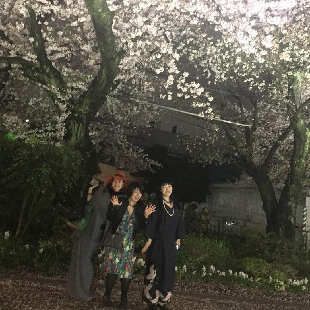 柳下毅一郎さんのインスタグラム写真 - (柳下毅一郎Instagram)「Beauties under the cherry blossums」4月9日 20時22分 - garth_y