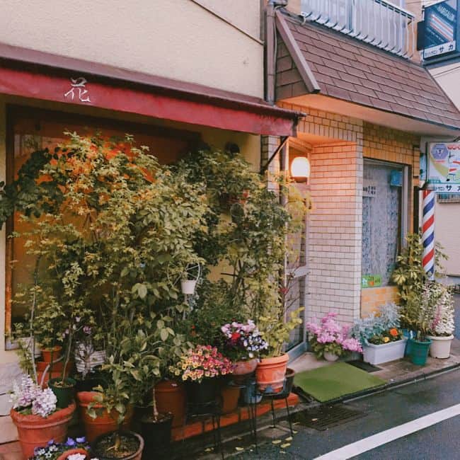 ハ・ウネさんのインスタグラム写真 - (ハ・ウネInstagram)「일본 길거리 맛보기  찾아보면 나 숨어있지롱👀」4月9日 22時03分 - l1gssss___
