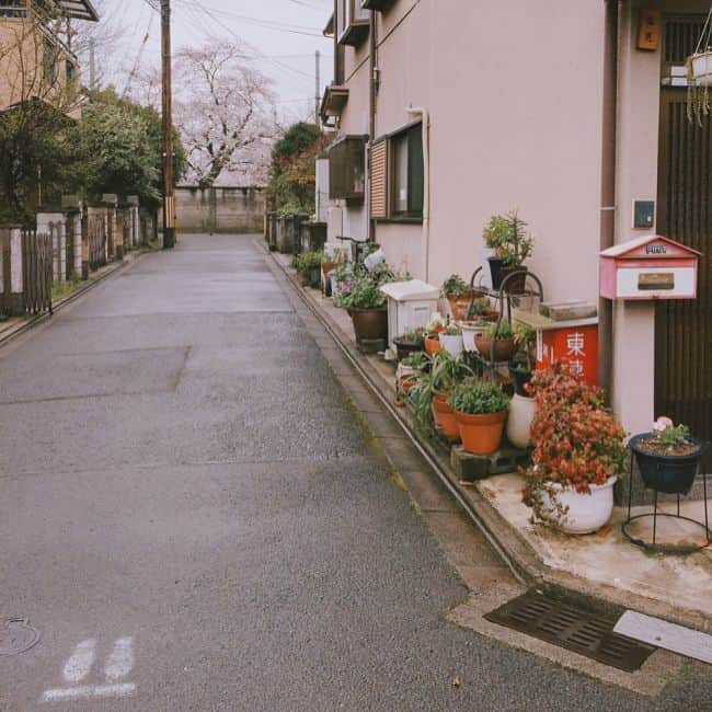 ハ・ウネさんのインスタグラム写真 - (ハ・ウネInstagram)「일본 길거리 맛보기  찾아보면 나 숨어있지롱👀」4月9日 22時03分 - l1gssss___