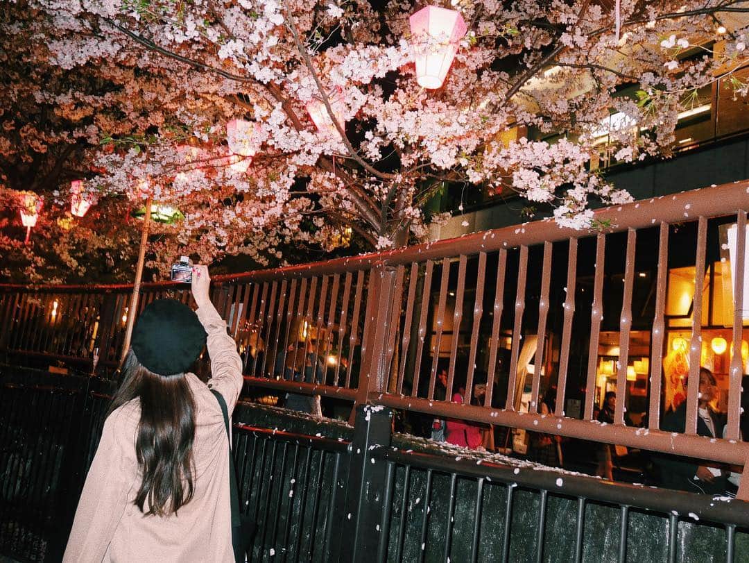 中村里帆さんのインスタグラム写真 - (中村里帆Instagram)「昼に見る桜は可愛いけど、夜桜は何だか美しくてうっとり 桜を見てしみじみしてしまった！！ 大人になってる私！」4月9日 22時53分 - __rihostagram__
