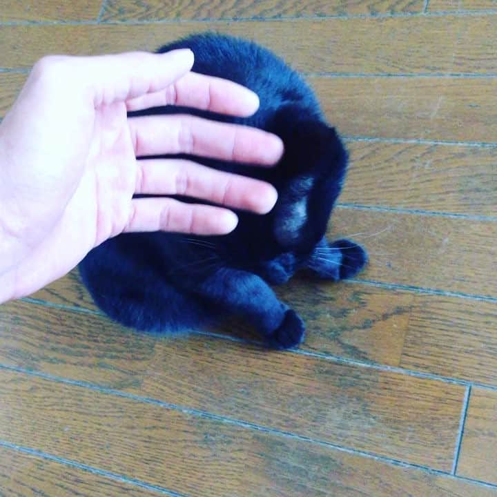 野村祐希のインスタグラム