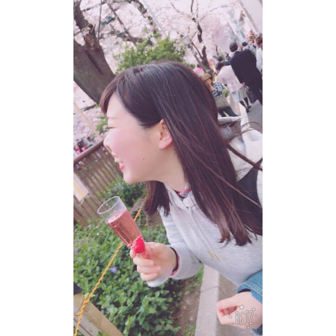 村上愛さんのインスタグラム写真 - (村上愛Instagram)「. . 今年の桜事情🌸🌸🌸 たのし〜〜キレイ〜〜〜癒される〜〜〜。」4月10日 12時53分 - meg_5683