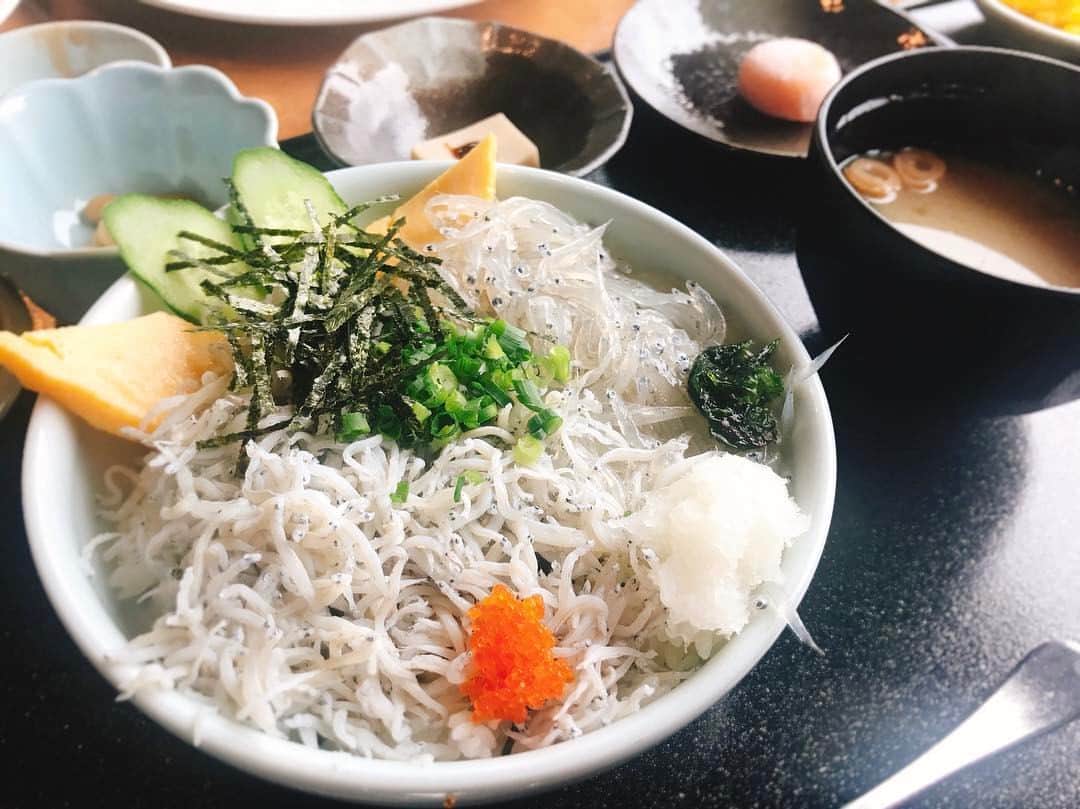 志田友美（ゆうみん）のインスタグラム：「念願のしらす丼が食べれたの😱💓しかも生しらすと釜しらすの2色丼✨ #しらす丼」