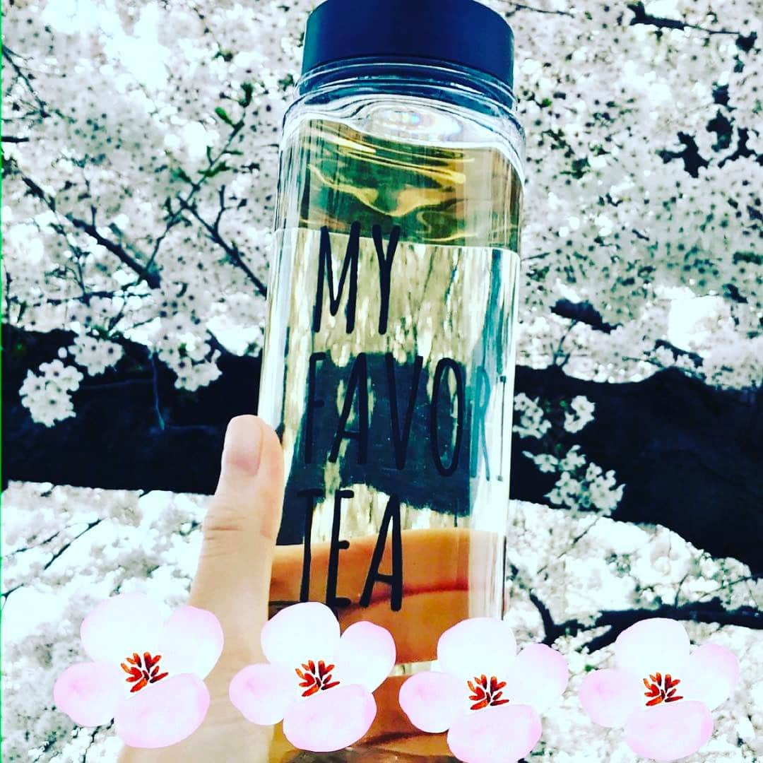 The Shun Jpさんのインスタグラム写真 - (The Shun JpInstagram)「Start Monday with a great tea‼️🍵😊👍🌸🌸🌸 * #japanesetea #japantea #organictea #whatisyourfavoritetea #beautifultea #sakura🌸 #sakurawithtea #cherryblossoms🌸」4月10日 15時06分 - theshunjp