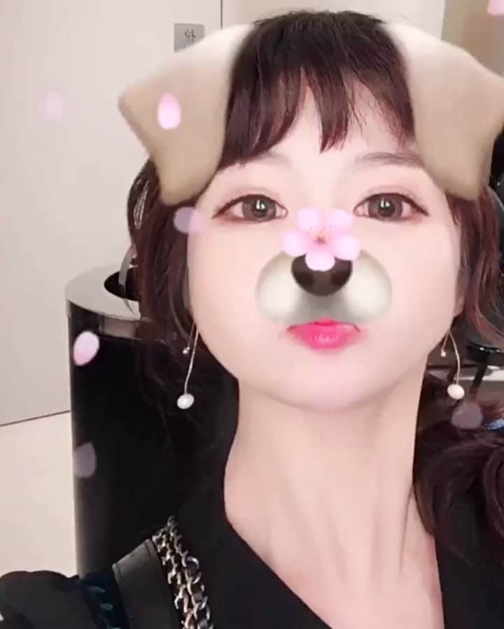 のインスタグラム：「믕ㅡ믕잉 🌸🐶🌸」