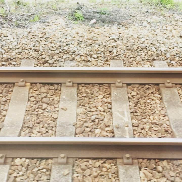 のインスタグラム：「Rail Way #railway」